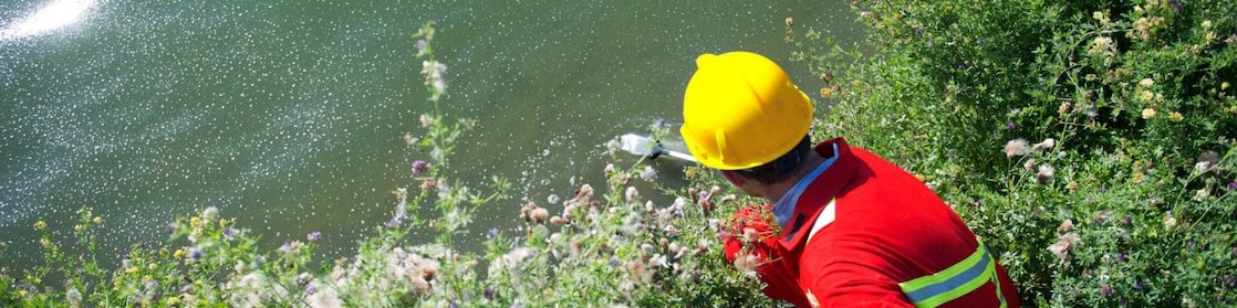 Медведь идет по мелководной речке