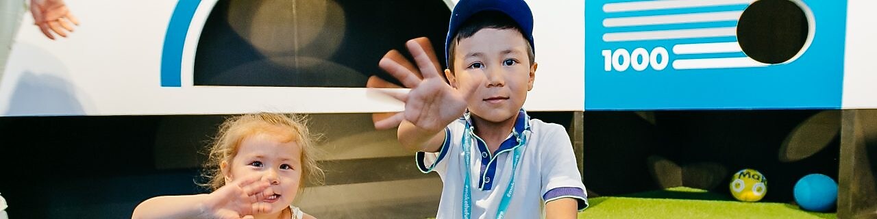 Ерікті әлеуметтік инвестициялар