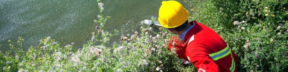 Медведь идет по мелководной речке