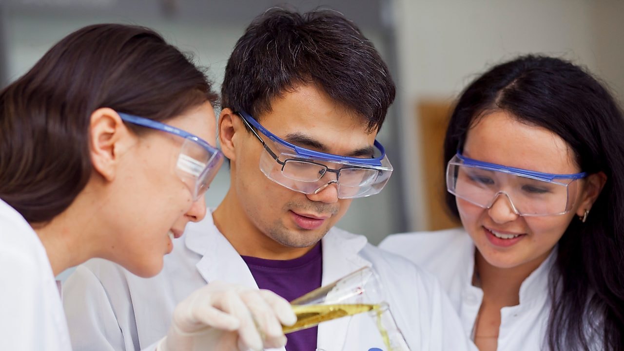 Поддержка образования